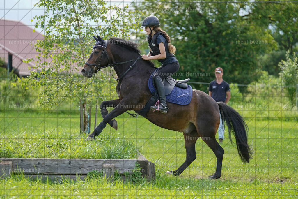 20240622-FAH08009 | Turnierfotografen Bayern, Reitsportbilder aus dem Geländekurs mit Felix Etzel auf dem Gut Waitzacker 2024