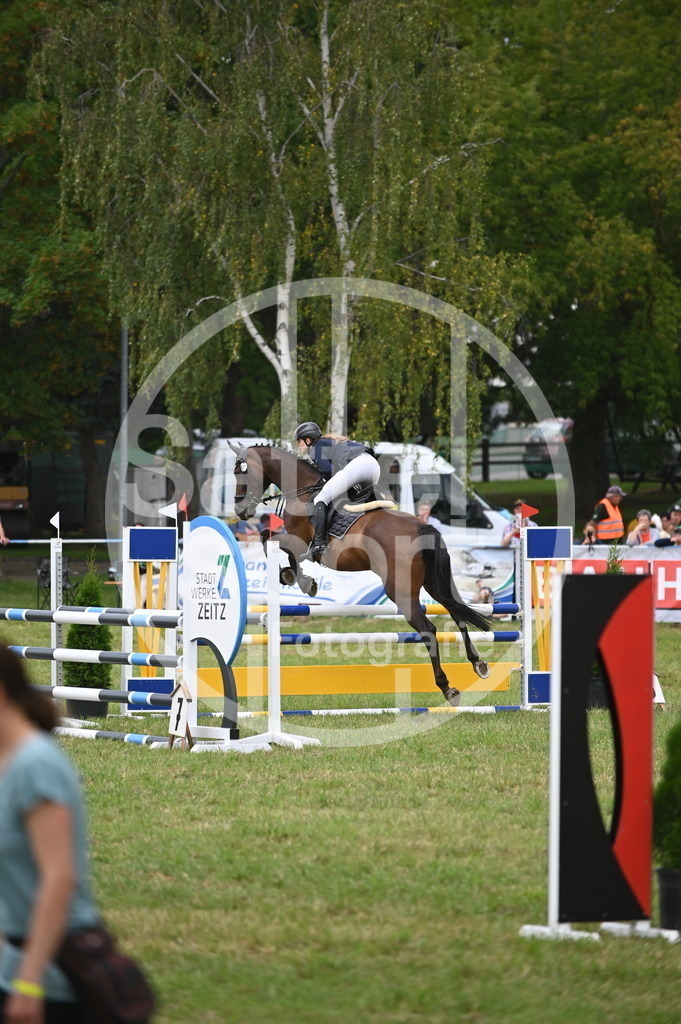 DSC_2474 | sattelsport - Realisiert mit Pictrs.com