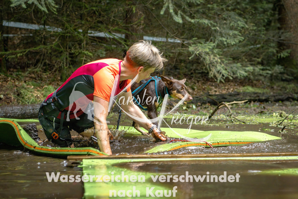 1539_ZZ91670-Bearbeitet | kk-dogfotos