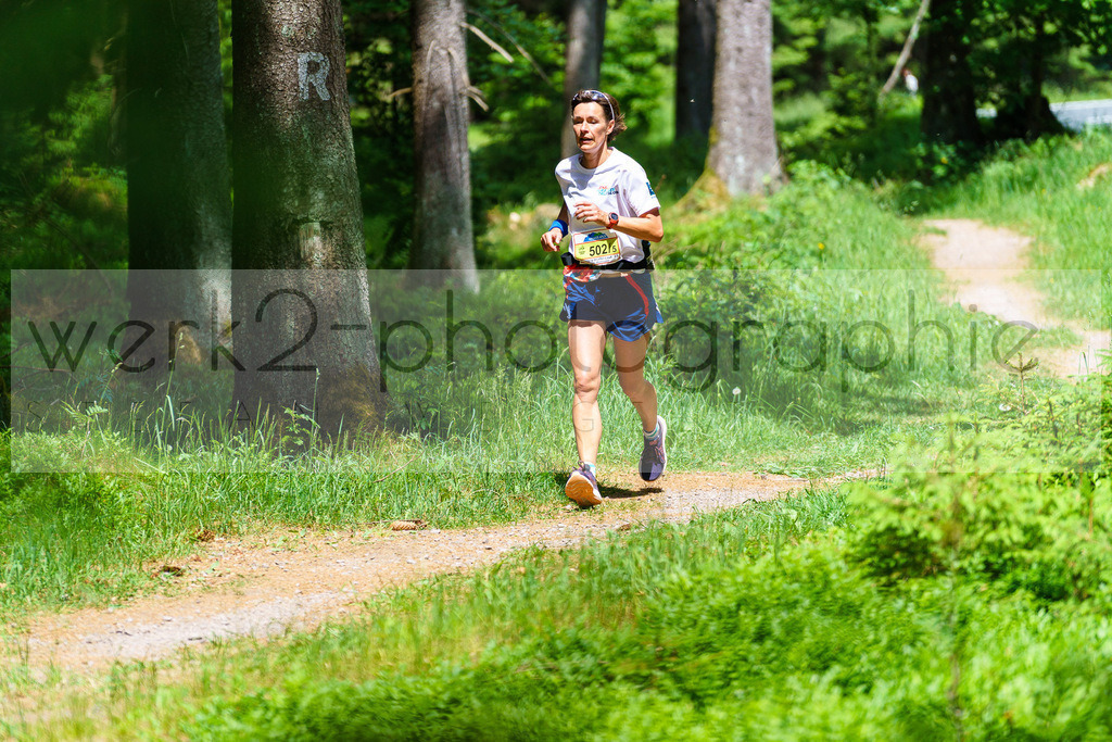Rennsteig-Staffellauf 2023 | Rennsteig-Staffellauf - Hörschel bis Blankenstein - 17. Juni 2023