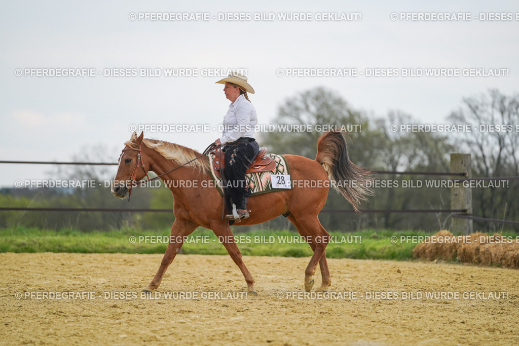 DSC08105 | Pferdegrafie