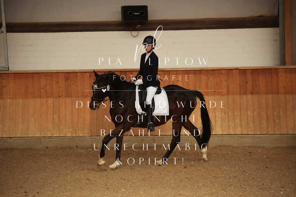 IMGT5447 | pl-fotografie