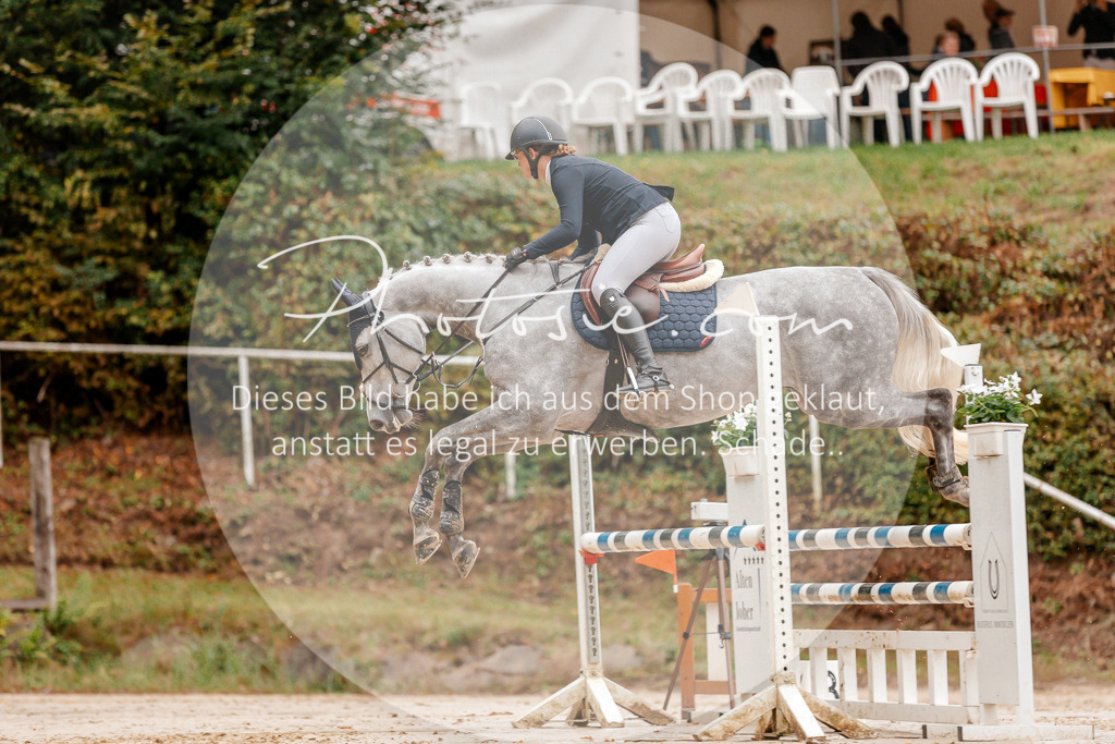 3I6A5824 | Stimmungsvolle Portraits und Reitsportfotografie im Ruhrgebiet und im Münsterland.

Pferdefotografie, Hundefotografie, Tierfotografie, Reportagen, Portraits von Tier und Mensch, Turnierfotografie in Bochum, Recklinghausen, Marl, Haltern am See, Dülmen.. - Realisiert mit Pictrs.com