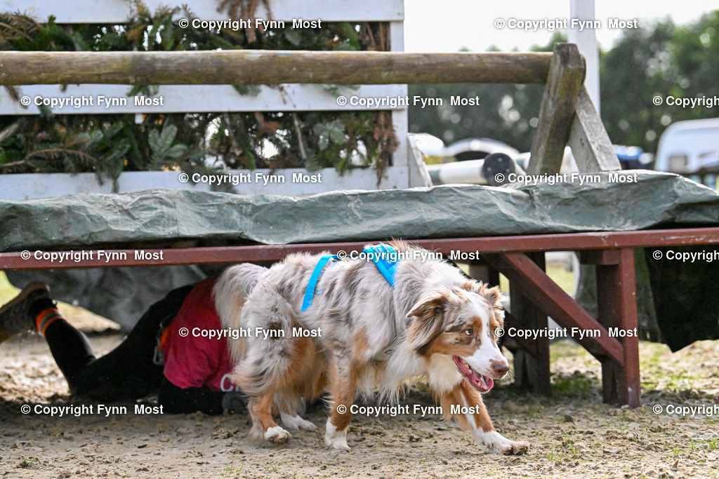 DSC_6364 | Hallo und herzlich Willkommen auf meiner Shop-Seite Fynn Most.

Ich wünsche Dir viel Spaß beim stöbern durch die Bilder, wenn Du Fragen hast oder Bilder vermisst, kannst du mir gerne eine Nachricht schreiben. - Realisiert mit Pictrs.com