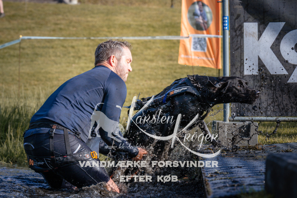 _ZZ959350730 | kk-dogfotos