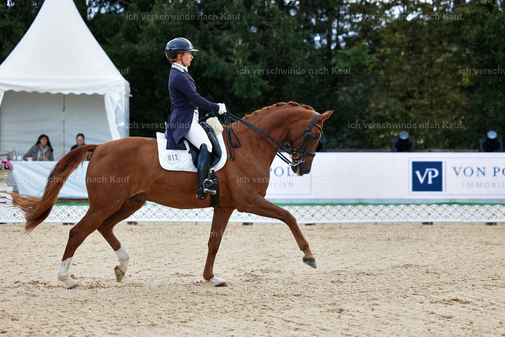 10-013-ST.GEORG SPECIAL -StoibPH-3119 | working equitationturnier fotograf videograf stoibphotography marixx film working equitation deutschland reitsport turnierfotografie eventfotografie equestrian events