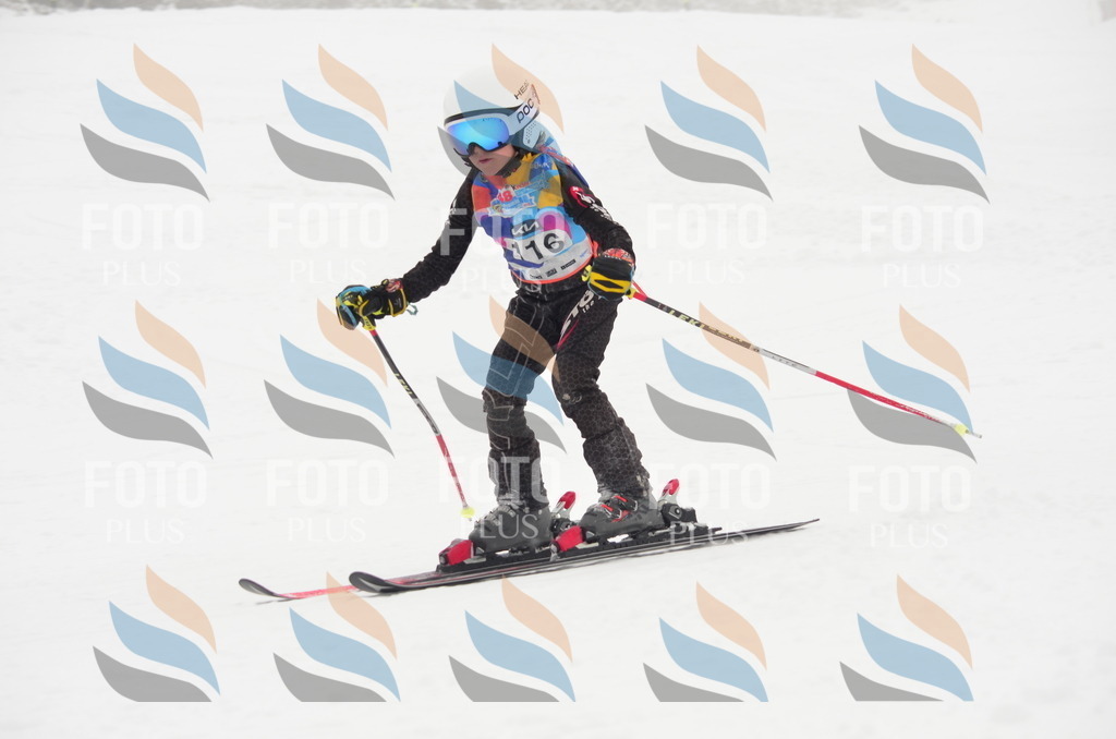 C1515 | holidayphoto