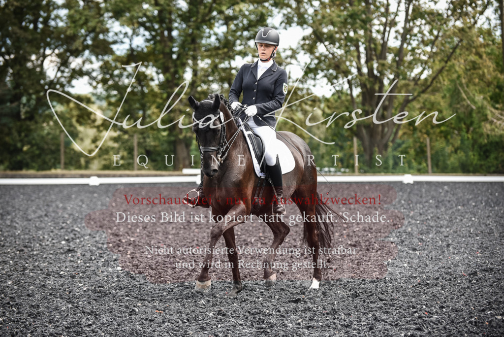 DSC_5062 | Pferde- und Turnierfotografie in Westsachsen. Pferdeportraits, Auftragszeichnungen und intuitive Kunst.