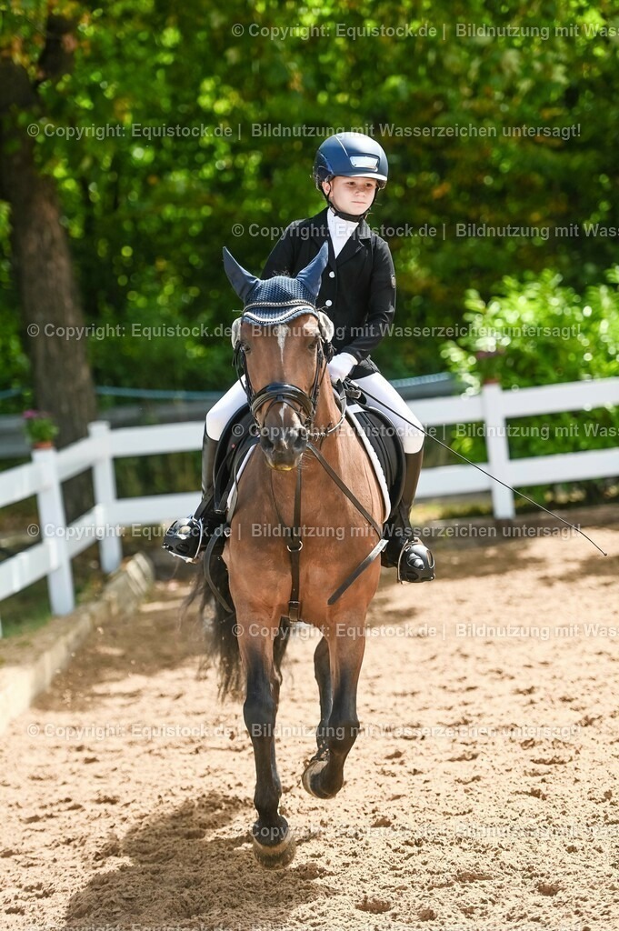 20230716_10-3_Reiter-WB Schritt - Trab - Galopp_0053 | equistock