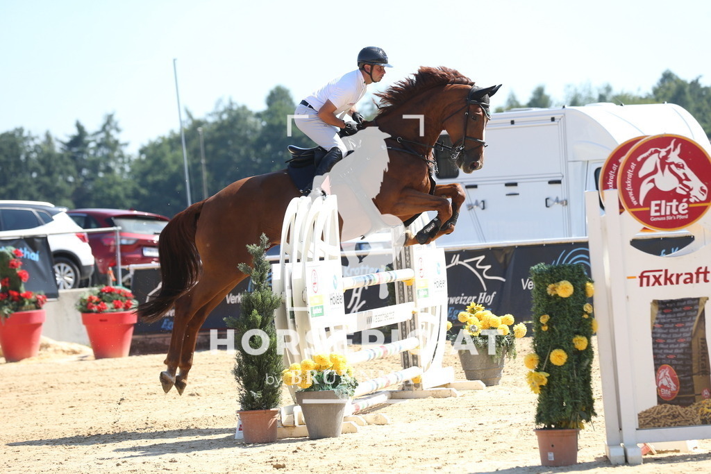 DL2Q2994 | Willkommen bei Brunnmayr - Design & Fotografie – Ihrem Spezialisten für Reitturniere und Pferdeveranstaltungen in Oberösterreich, Salzburg und Bayern! Seit über 17 Jahren sind wir leidenschaftlich dabei.