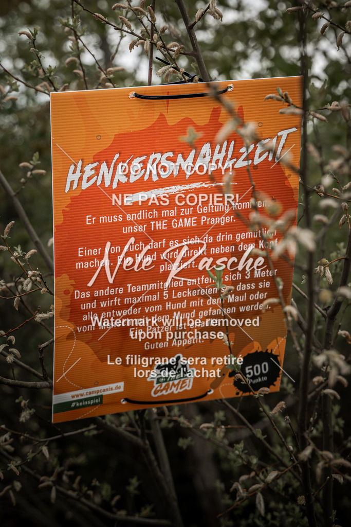 nelerasche_TheGame2026_SaPranger_23 | nelerasche