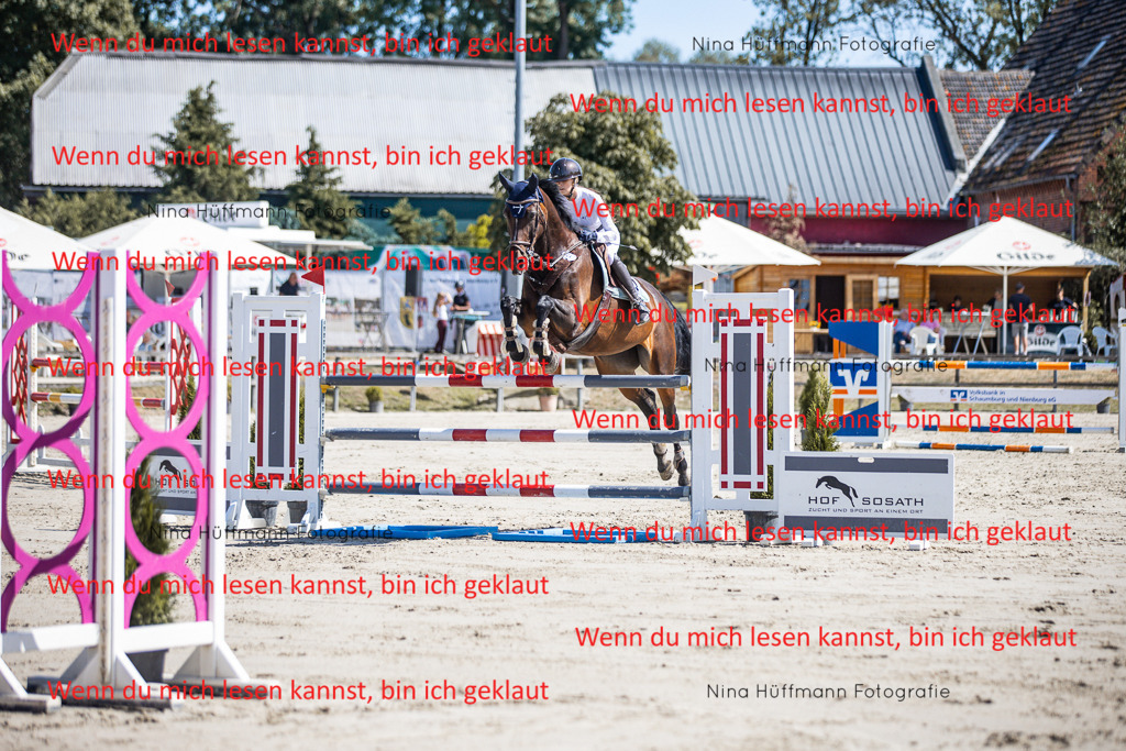 BK1A6669 | Turnierbilder Turnierfotos Nina Hüffmann Turnierfotografie Pferdefotografie Tierzeichnung Haustierzeichnung Pferdezeichnung Hundezeichnung Videograf  - Realisiert mit Pictrs.com