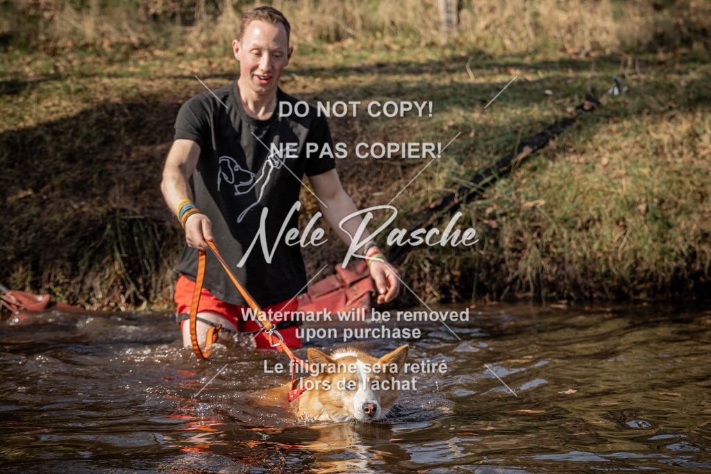 nelerasche_FS1330-1400_393 | nelerasche