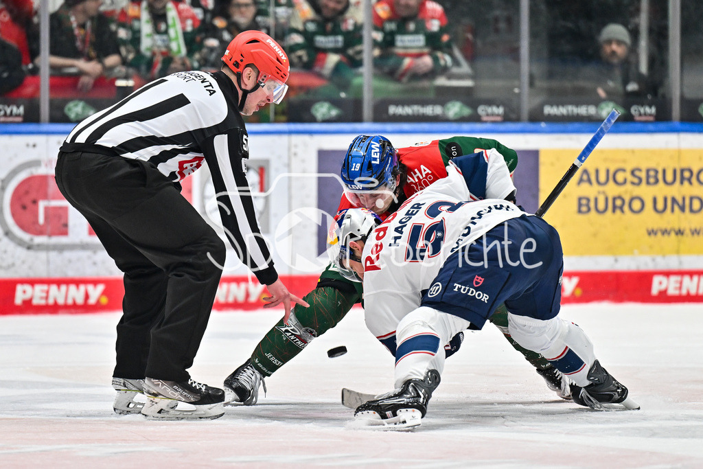 Augsburger Panther - EHC RB München | AUGSBURG, DEUTSCHLAND - 27. FEBRUAR: Beim Bully im Duell Riley DAMIANI (Augsburger Panther 19) und Patrick HAGER (RB München 52) während dem Match zwischen den Augsburger Panthern und dem EHC RB München am 46. Spieltag der Penny DEL im Curt Frenzel Stadion