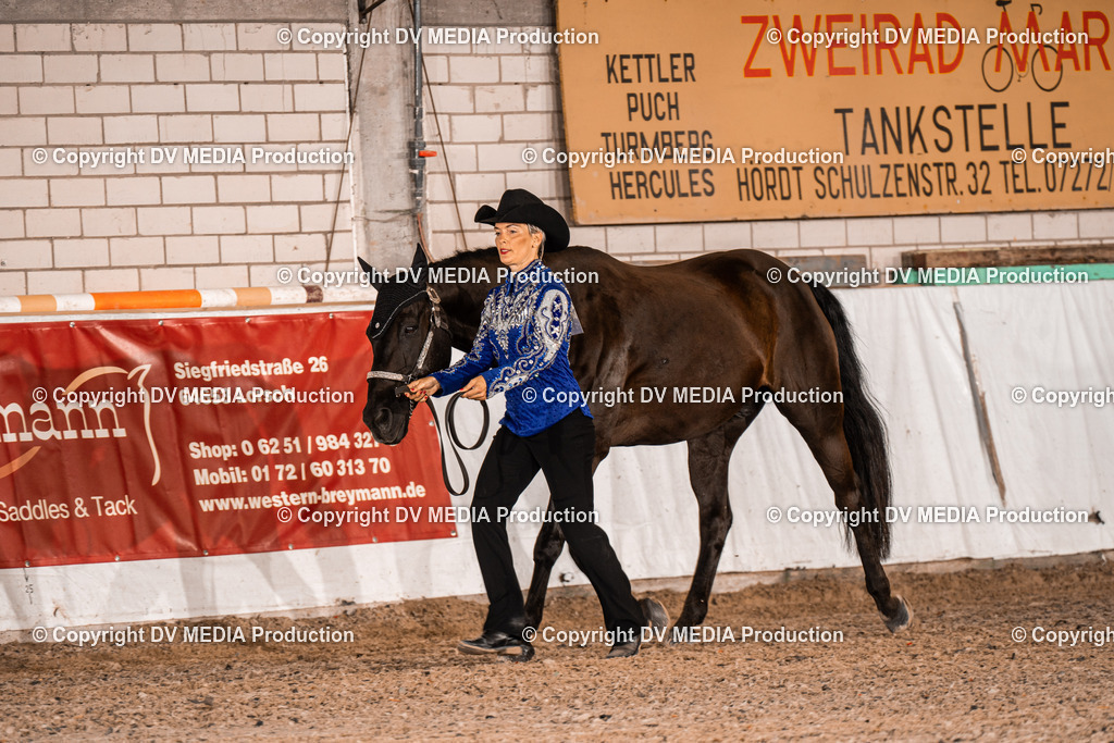 ZH100025 | dv-media-shop - Realisiert mit Pictrs.com