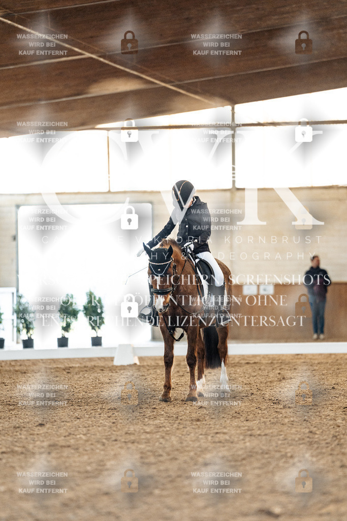 CK907024 | Turnierfotografie Pferdefotografie Trier Rheinland-Pfalz Pferdesport Reitsport Tierfotografie Sportfotografie Pferdevideo Pferdevideografie Equestrianvideography equestrianphotography  - Realized with Pictrs.com