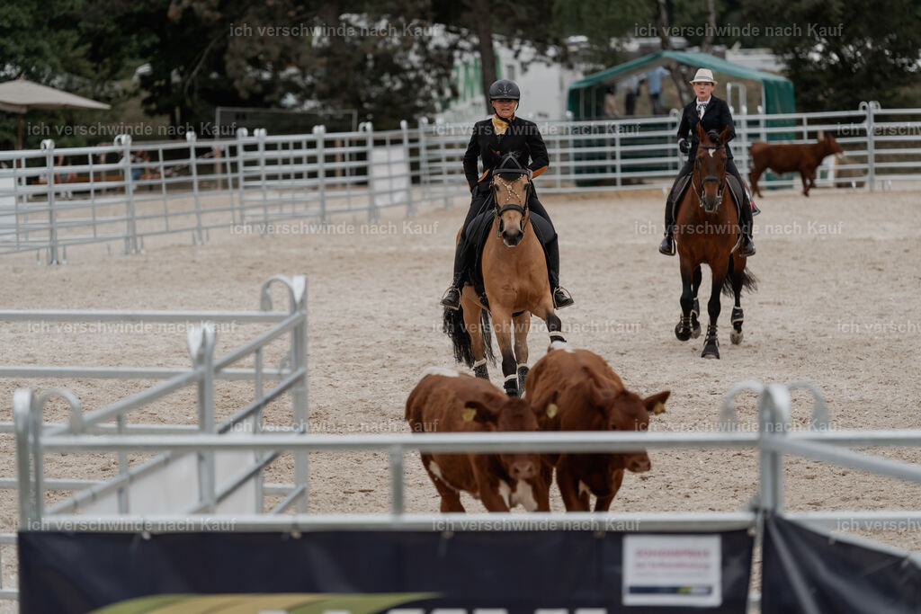 WE__Stoib_Rinder_PI2025_3143 | Pferd International München 2025