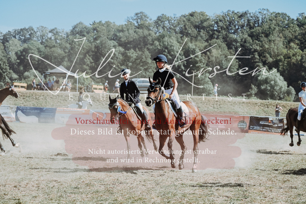 DSC_0165 | Pferde- und Turnierfotografie in Westsachsen. Pferdeportraits, Auftragszeichnungen und intuitive Kunst.