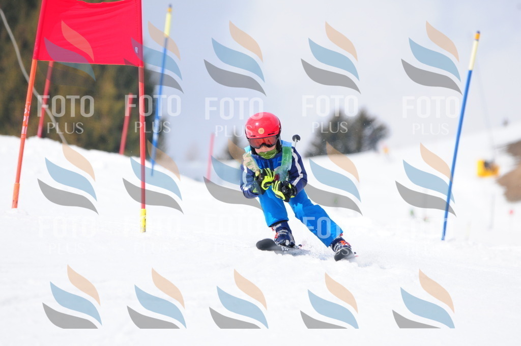 A3711 | holidayphoto