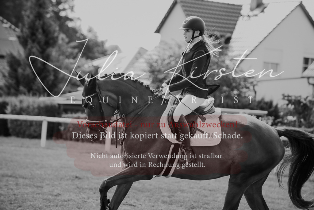 DSC_9167 | Pferde- und Turnierfotografie in Westsachsen. Pferdeportraits, Auftragszeichnungen und intuitive Kunst.