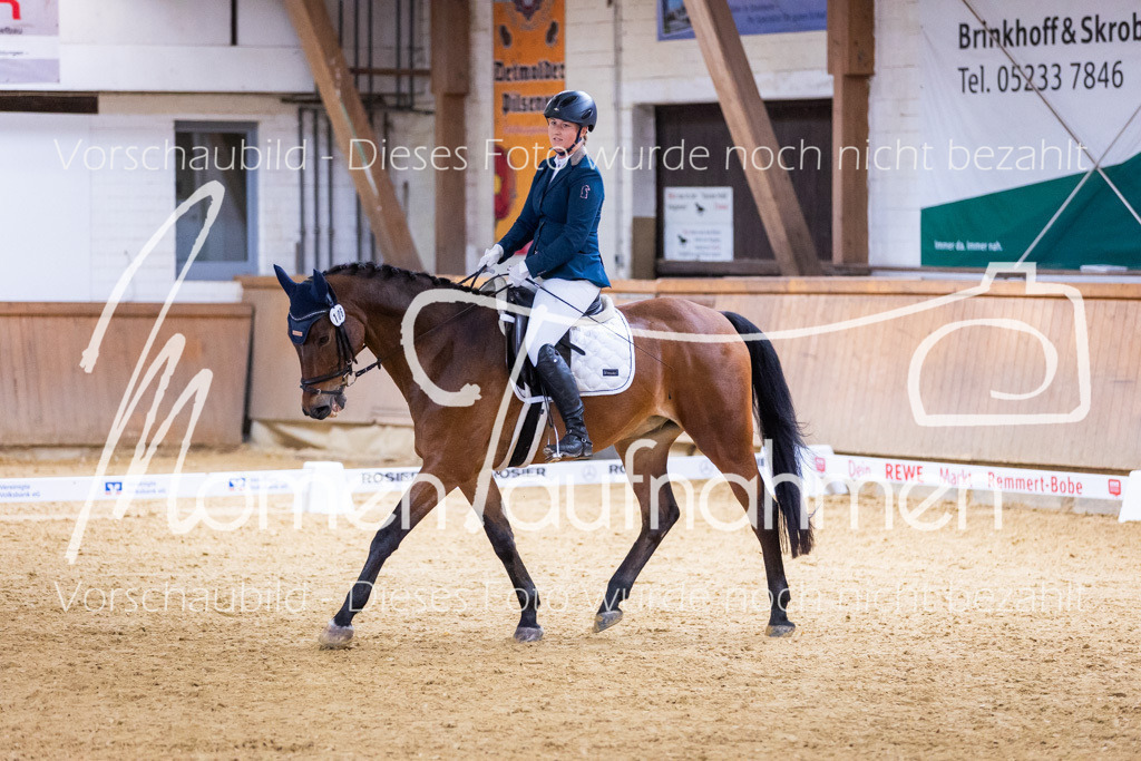 Sth-A-Dre-2St-103 | MomenTaufnahmen Pferdesportfotos