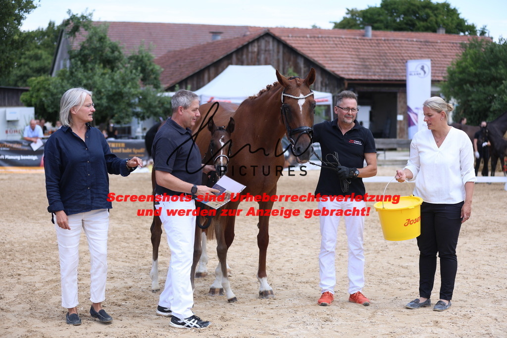 Fohlenschau_Schwäbisch_Hall_dressurbetonte_Fohlen_RESERVE SIEGER_KN 15_1 | lmwpictures - Realisiert mit Pictrs.com