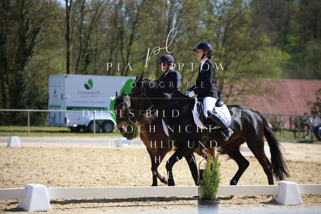 IMGT2306 | pl-fotografie