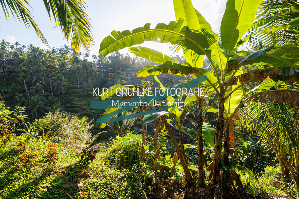 230720-1346 - Kopie | onlinegalerie und Fotoshop Kurt Gruhlke Fotograf Berlin
Hochzeitsfotograf Eventfotograf Portraitfotografie
 - Realisiert mit Pictrs.com