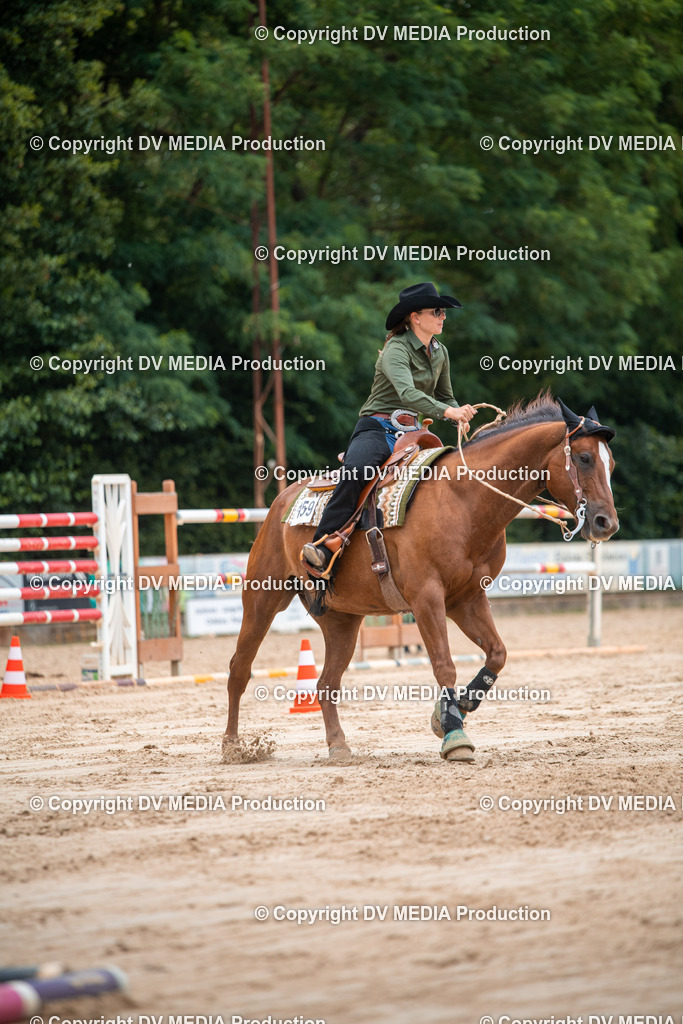 ZS2_8360 | dv-media-shop - Realisiert mit Pictrs.com