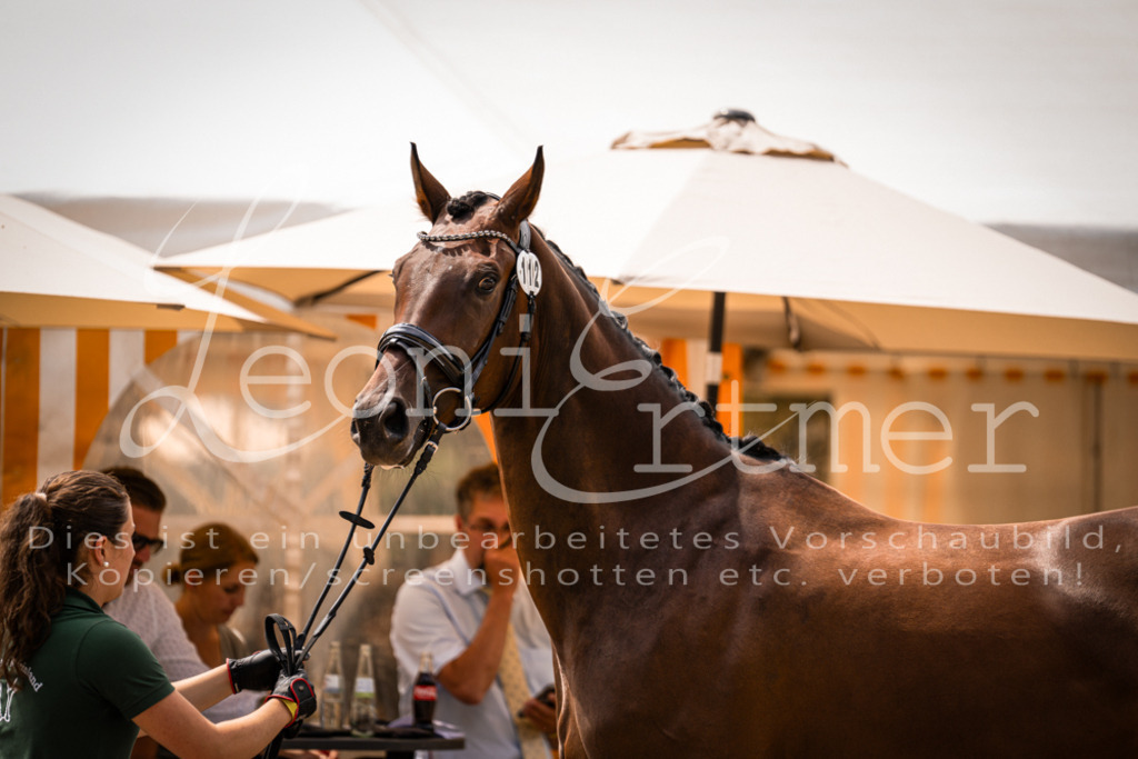 3.Fr00113 | Leoni Ertmer Photography - Realisiert mit Pictrs.com