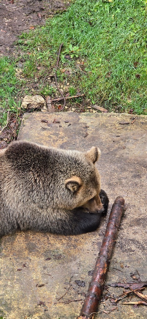 20241026_135914 | Heilkarten - Realisiert mit Pictrs.com