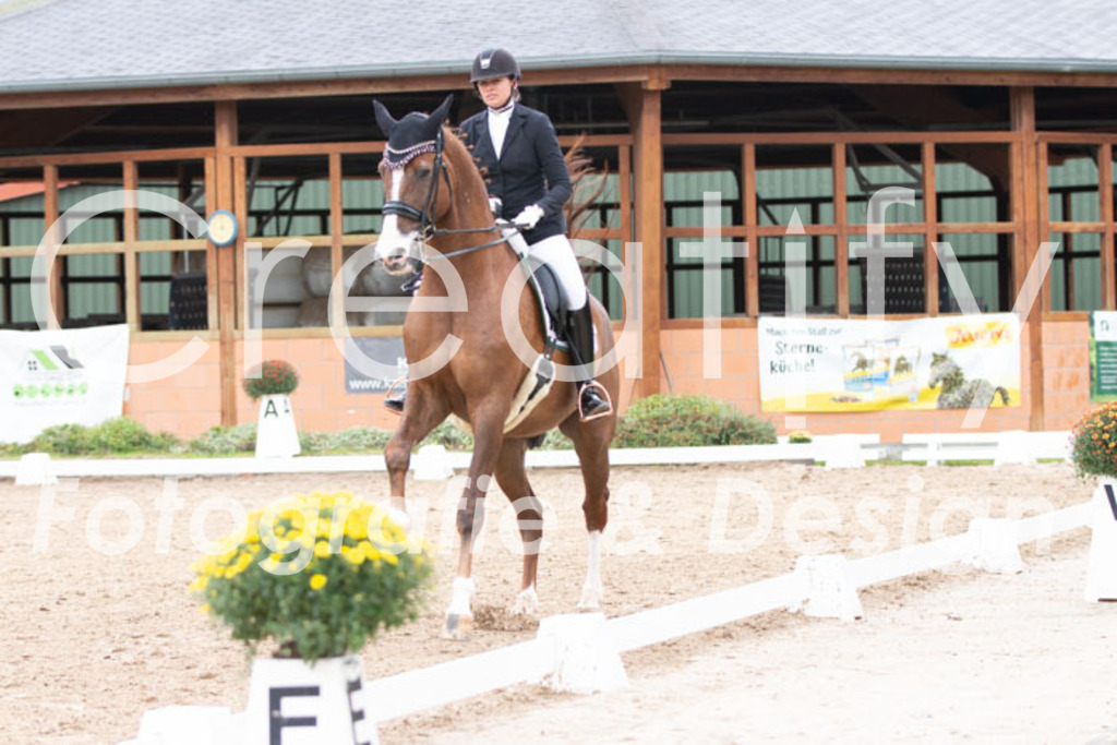 IMG_7251 | Creatify Fotografie