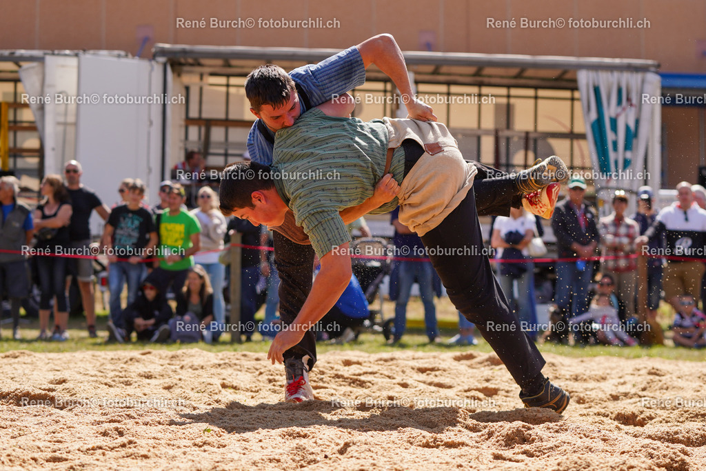 DSC09871 | René Burch leidenschaftlicher Fotograf aus Kerns in Obwalden.  Hier finden sie Sport, Landschaft und Natur Fotografie.
 - Realisiert mit Pictrs.com