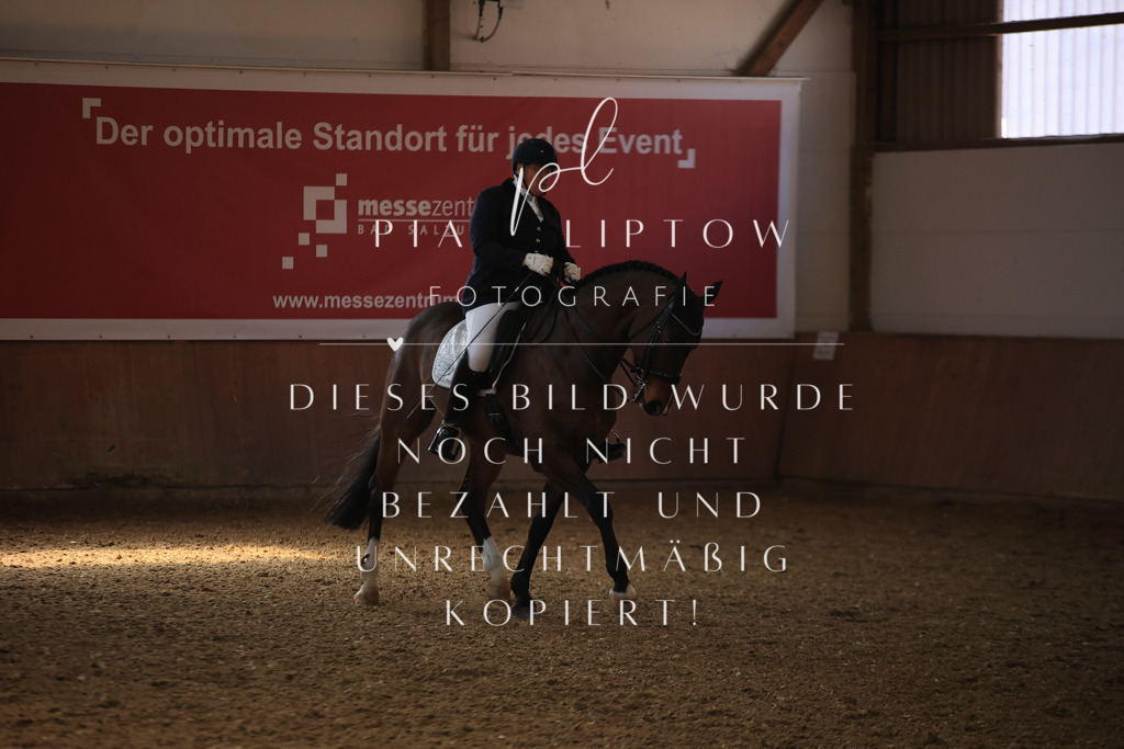 IMGT3552 | pl-fotografie