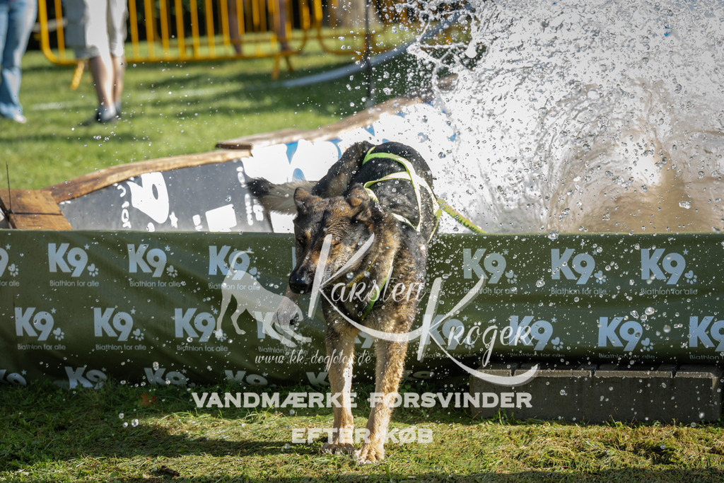 0941_ZZ96703 | kk-dogfotos