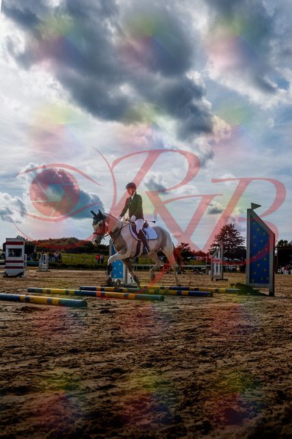 2026_10_03_Siefer-Hof_144117_Z63_05171883 | Professionelle Reitsport-, Turnier- und Eventfotografie von Robert Broda. Galerien mit ausgewählten und bearbeiteten Bildern direkt online ansehen und bestellen.