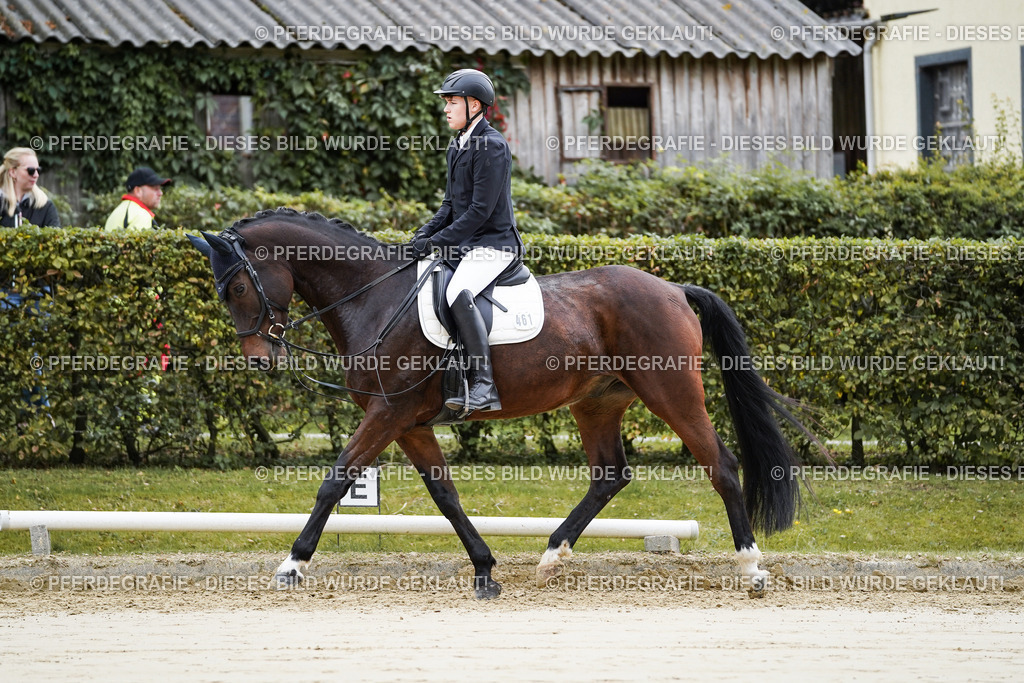 DSC04909 | Pferdegrafie