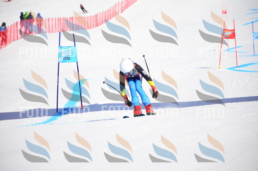 VR4_9308 | holidayphoto