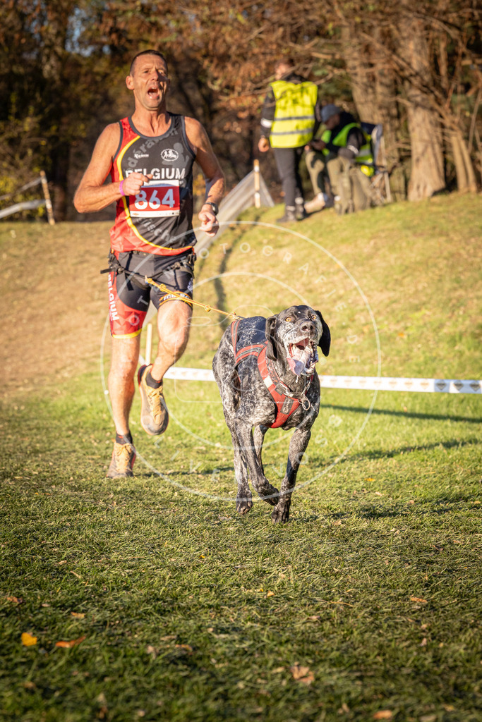 CaniXpix_0L8A0981 | Hundefotografie, Tierfotograf, Pfotenfotografie, Fotoshooting Hund, Hunde Portrait, Hundesport, Hundeportraits, Heideshooting, Hunde, Sportfotograf, Hundefotograf, Turnierhundsport, THS,  - Realisiert mit Pictrs.com