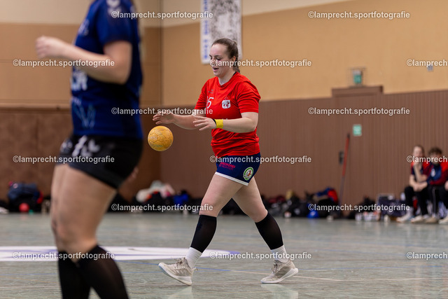 Handball I Damen I Saison 2025-2026 I Verbandsliga Süd I 15. Spieltag I HSG Kalkberg 06 - HSG Holsteinische Schweiz 079 | / - Realisiert mit Pictrs.com