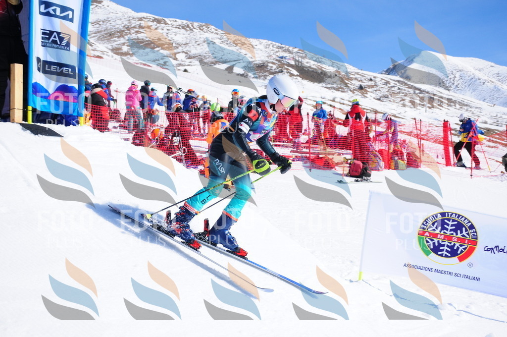 DSC_3919 | holidayphoto