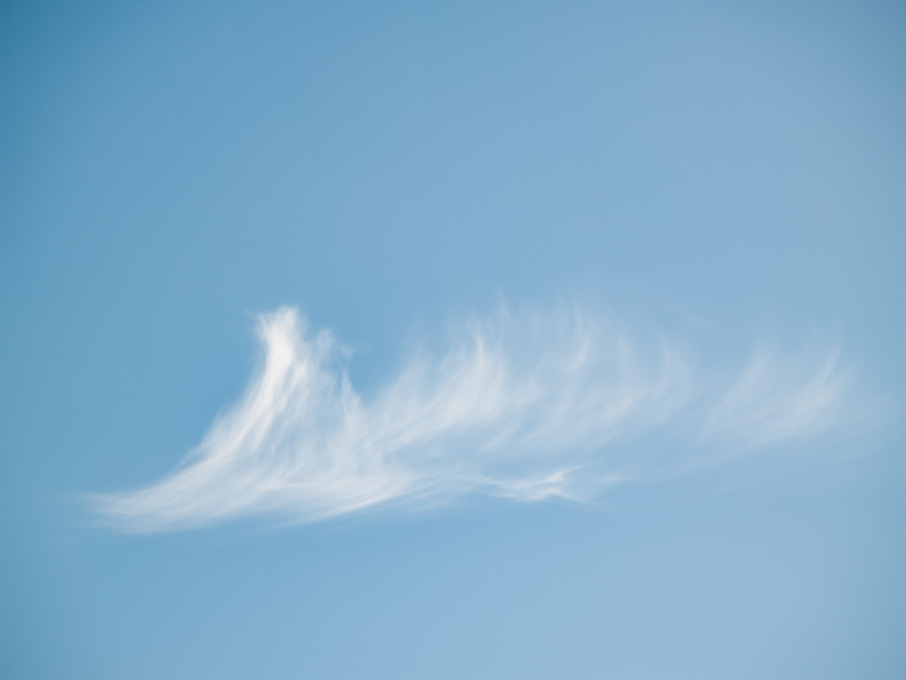 PSX_20230216_233148 | OLYMPUS DIGITAL CAMERA - Realisiert mit Pictrs.com