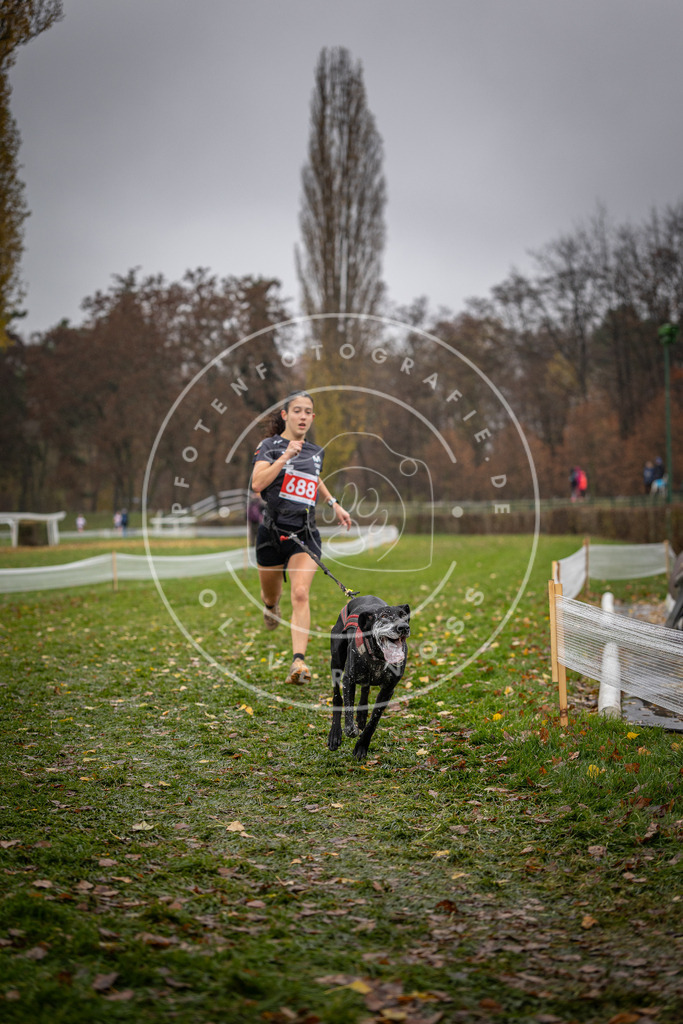 CaniXpix_DV3A9079 | Hundefotografie, Tierfotograf, Pfotenfotografie, Fotoshooting Hund, Hunde Portrait, Hundesport, Hundeportraits, Heideshooting, Hunde, Sportfotograf, Hundefotograf, Turnierhundsport, THS,  - Realisiert mit Pictrs.com