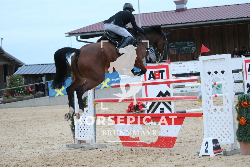DL2Q6734 | Willkommen bei Brunnmayr - Design & Fotografie – Ihrem Spezialisten für Reitturniere und Pferdeveranstaltungen in Oberösterreich, Salzburg und Bayern! Seit über 17 Jahren sind wir leidenschaftlich dabei.