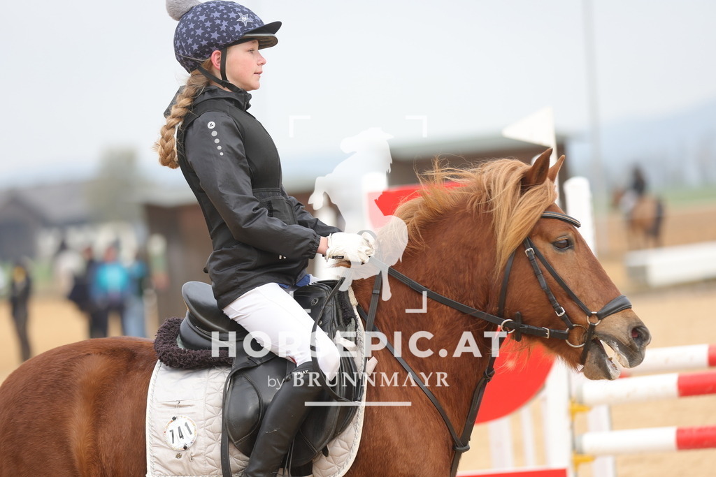 0P6A8694 | Willkommen bei Brunnmayr - Design & Fotografie – Ihrem Spezialisten für Reitturniere und Pferdeveranstaltungen in Oberösterreich, Salzburg und Bayern! Seit über 17 Jahren sind wir leidenschaftlich dabei.