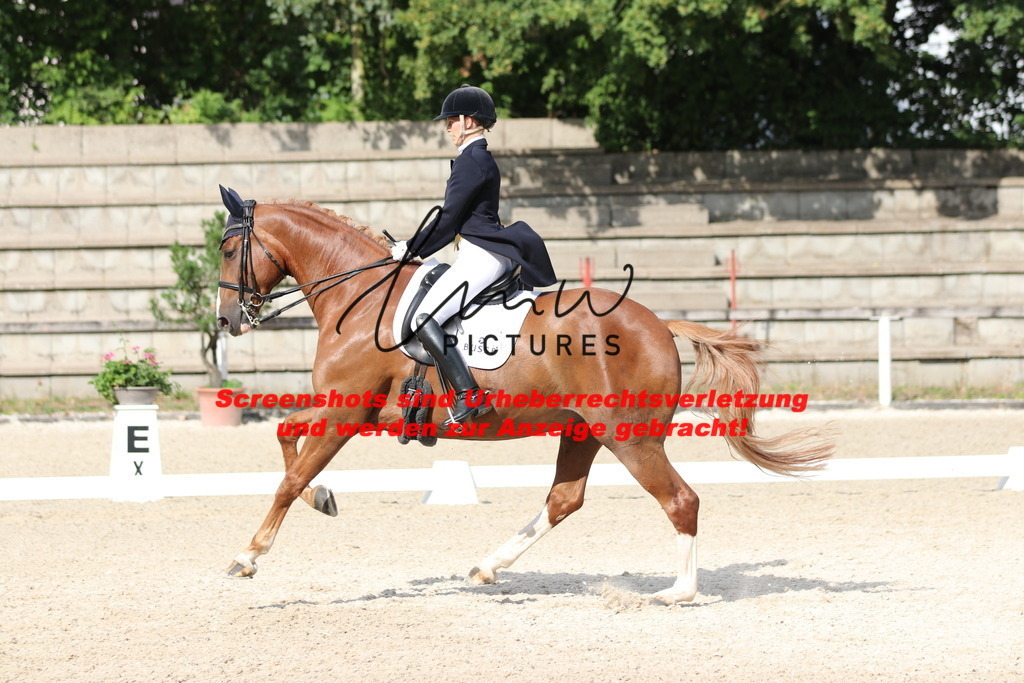 IMG_6486 | lmwpictures - Realisiert mit Pictrs.com