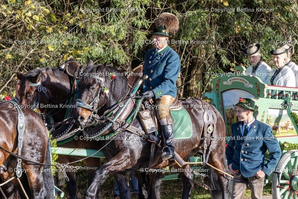 LBT24-177 | foto-bettina-krinner - Realisiert mit Pictrs.com