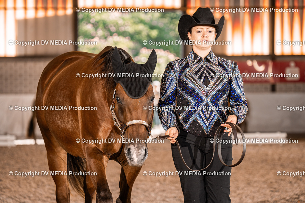 ZH100213 | dv-media-shop - Realisiert mit Pictrs.com