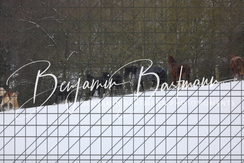 AZ2A3281 | Benjamin Bartmann Photomoments