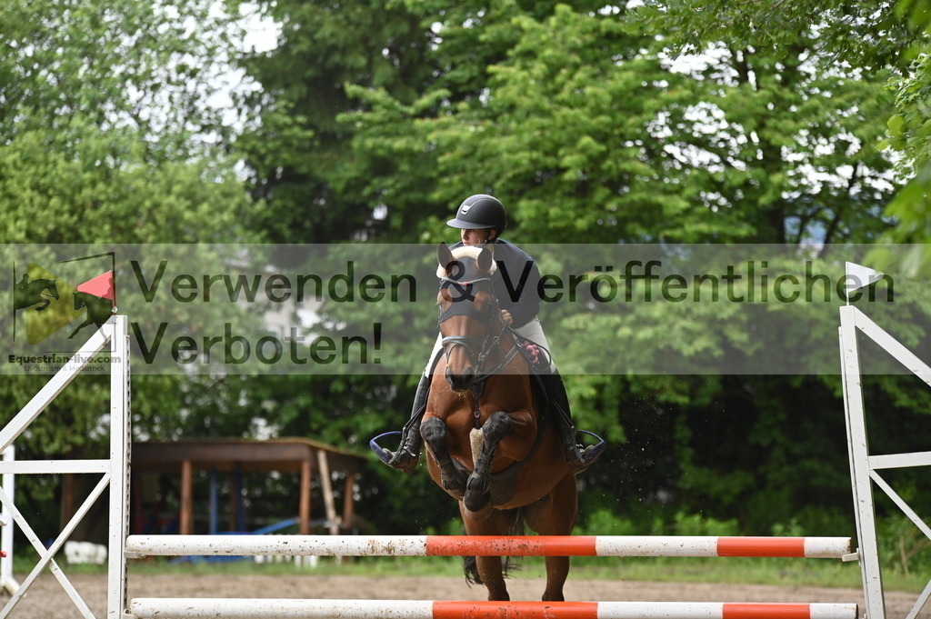 DSC_0523 | equestrian-live-com